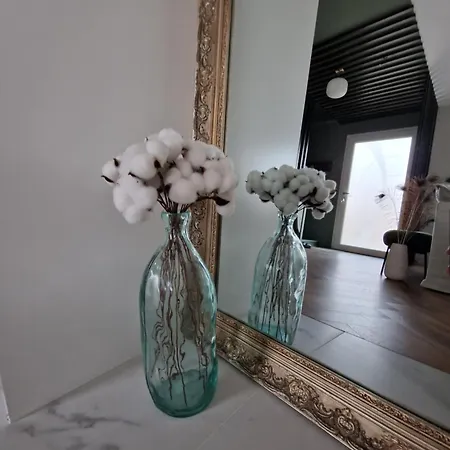 Maison Joliment Décorée Dans Un Quartier Calme Savigne-l'Eveque